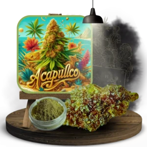 Fleur full souche Acapulco Gold