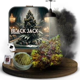 FLEUR FULL BLACK JACK 80%