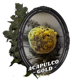 FLEUR TEMPLE BALL ACAPULCO GOLD