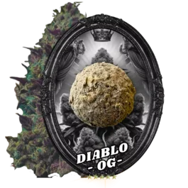 FLEUR TEMPLE BALL DIABLO OG