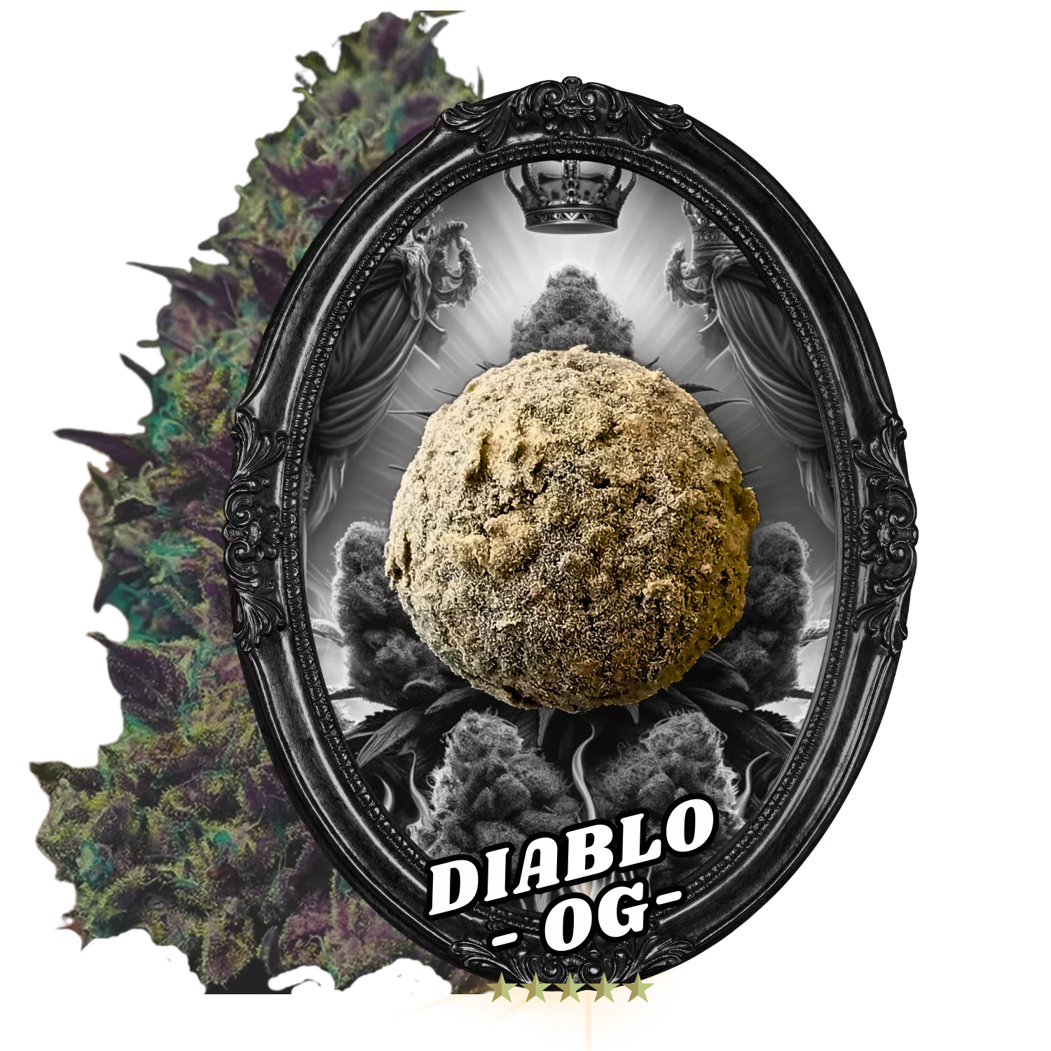 Fleur Temple Ball Diablo OG - CBD, 10-oh-HHC, fleurs indoor AAA, fait main.