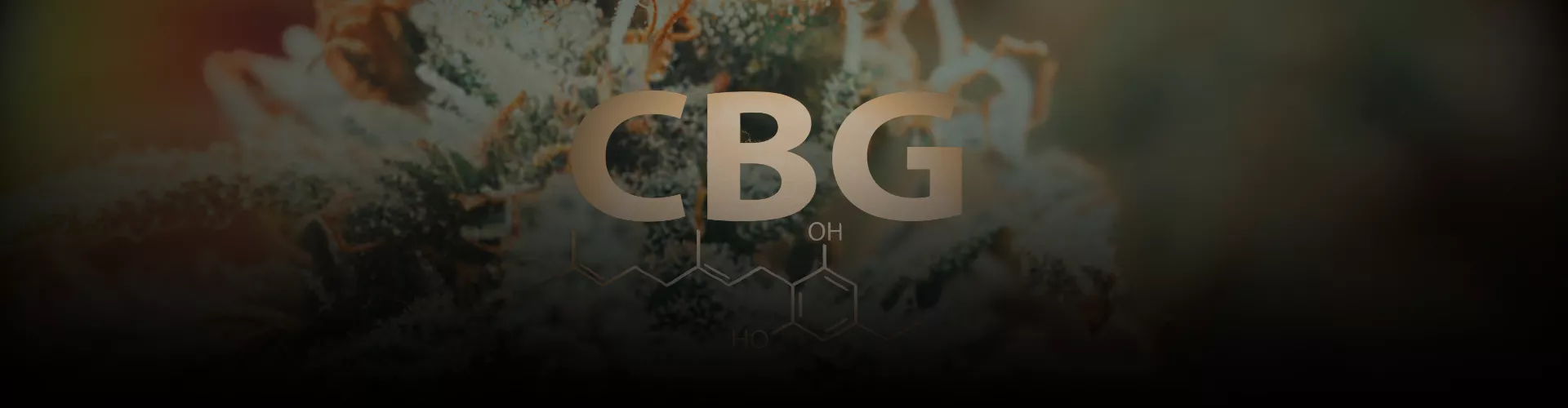 HEXAWEED CBG Cannabigérol expliqué