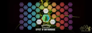 Lire la suite à propos de l’article HEXAWEED & L’EFFET D’ENTOURAGE