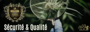 Lire la suite à propos de l’article HEXAWEED qualité & conformité