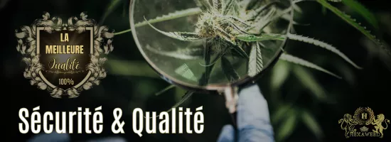 HEXAWEED SÉCURITÉ QUALITÉ