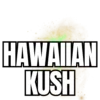 hawaiian-kush