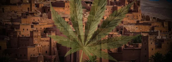 Maroc cannabis politique