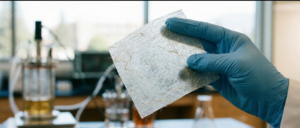 Lire la suite à propos de l’article La cellulose de chanvre