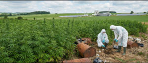 Lire la suite à propos de l’article Le chanvre : Une solution pour lutter contre la pollution