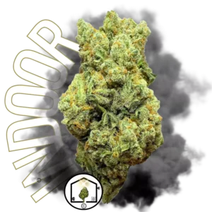 Fleur Amnesia Indoor Hydro Big Bud : CBD premium cultivé en hydroponie.