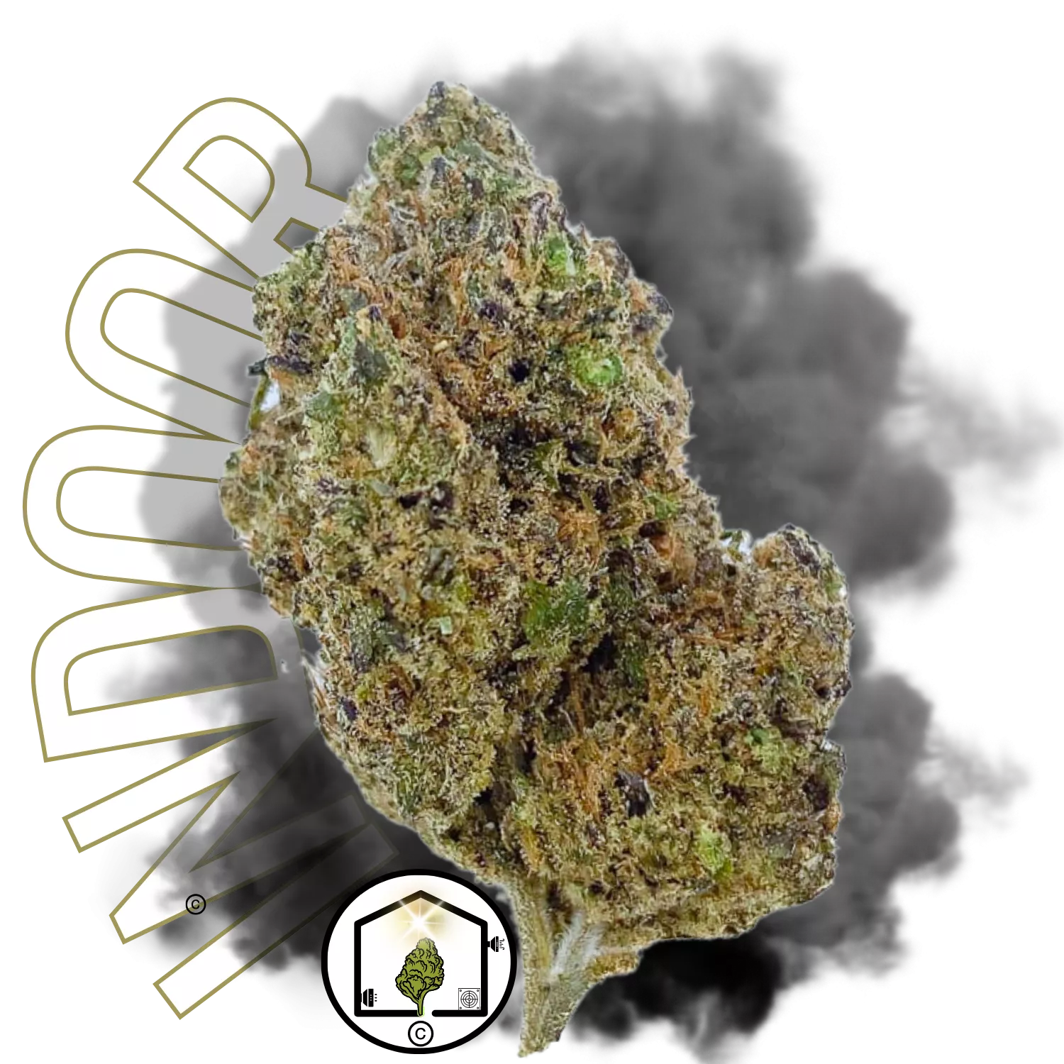 Blue Lobster Indoor Big Bud – Une fleur CBD exceptionnelle cultivée en hydroponie et aéroponie, avec des saveurs uniques et une qualité premium.