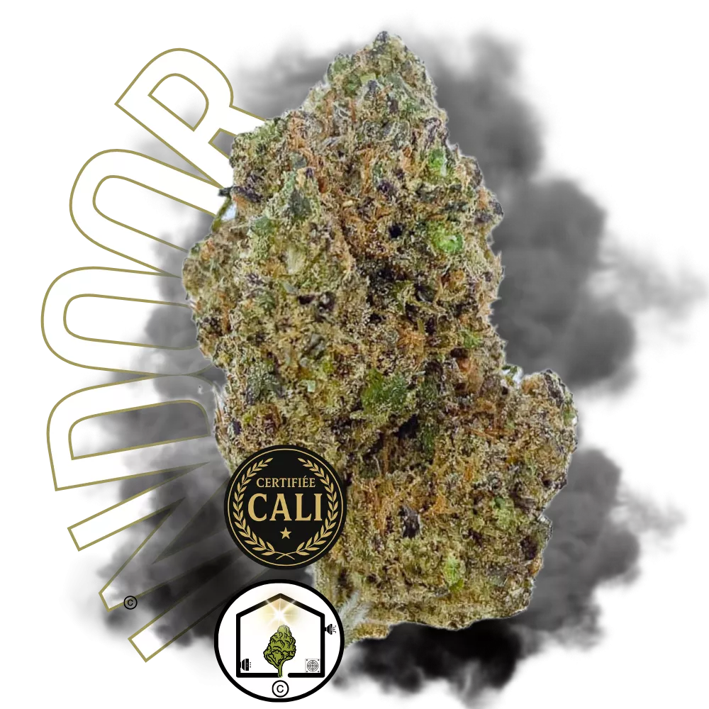 CALI BLUE PAIN KILLER BIG BUD