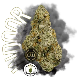 CALI HAZE BIG BUD
