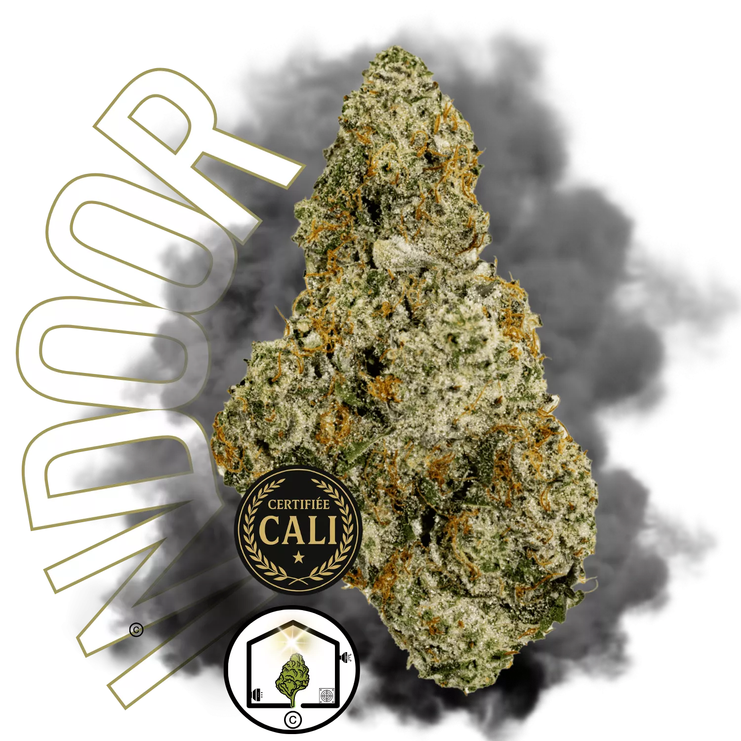 CALI HAZE BIG BUD