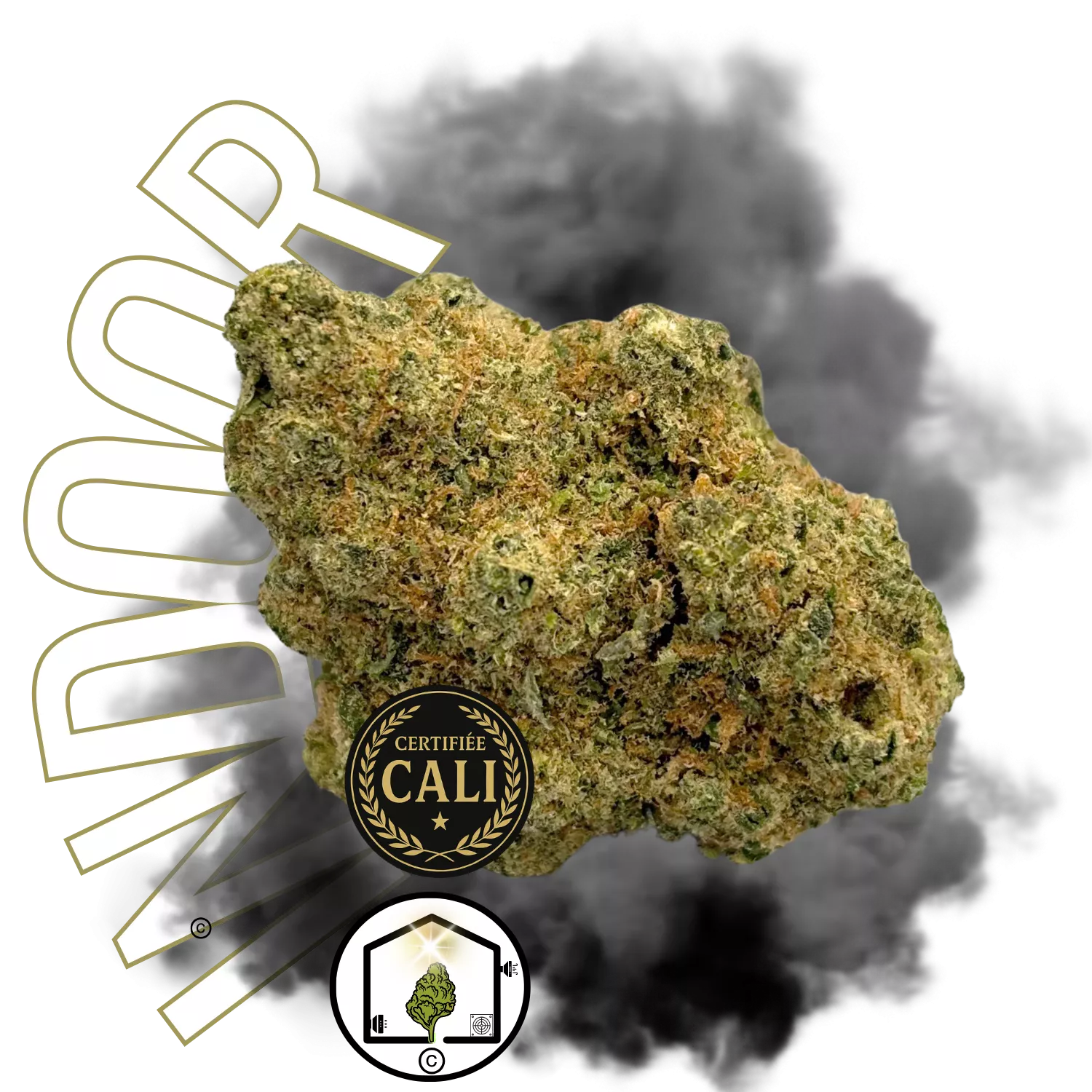 CALI RAIDERZ BIG BUD