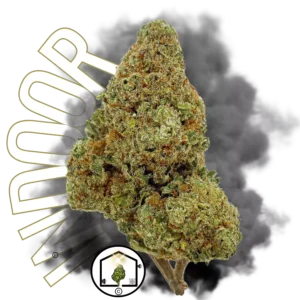 Forbidden Cookie Indoor Big Bud – Une fleur CBD gourmande, cultivée en hydroponie, aux arômes sucrés et intenses.