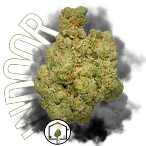 Mango Rainbow Indoor Big Bud – Une fleur CBD tropicale cultivée en hydroponie, aux arômes fruités intenses et une qualité exceptionnelle