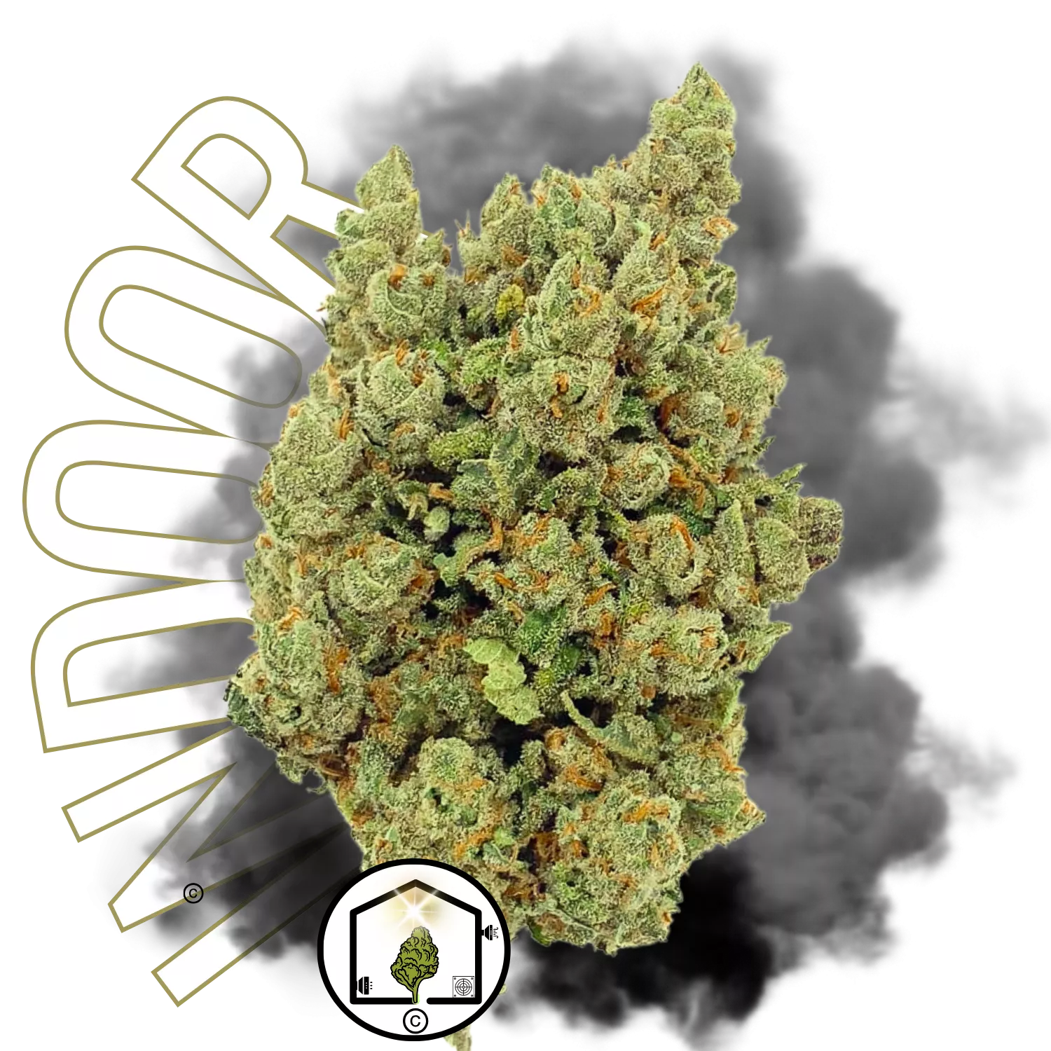 Orange Sherbet Indoor Hydro Big Bud – Fleur de CBD cultivée en hydroponie avec des arômes puissant et une qualité premium.