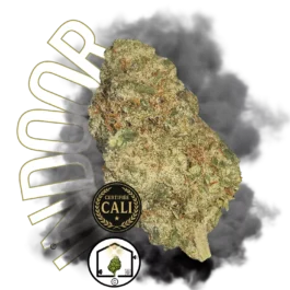 CALI PUSSY OG BIG BUD