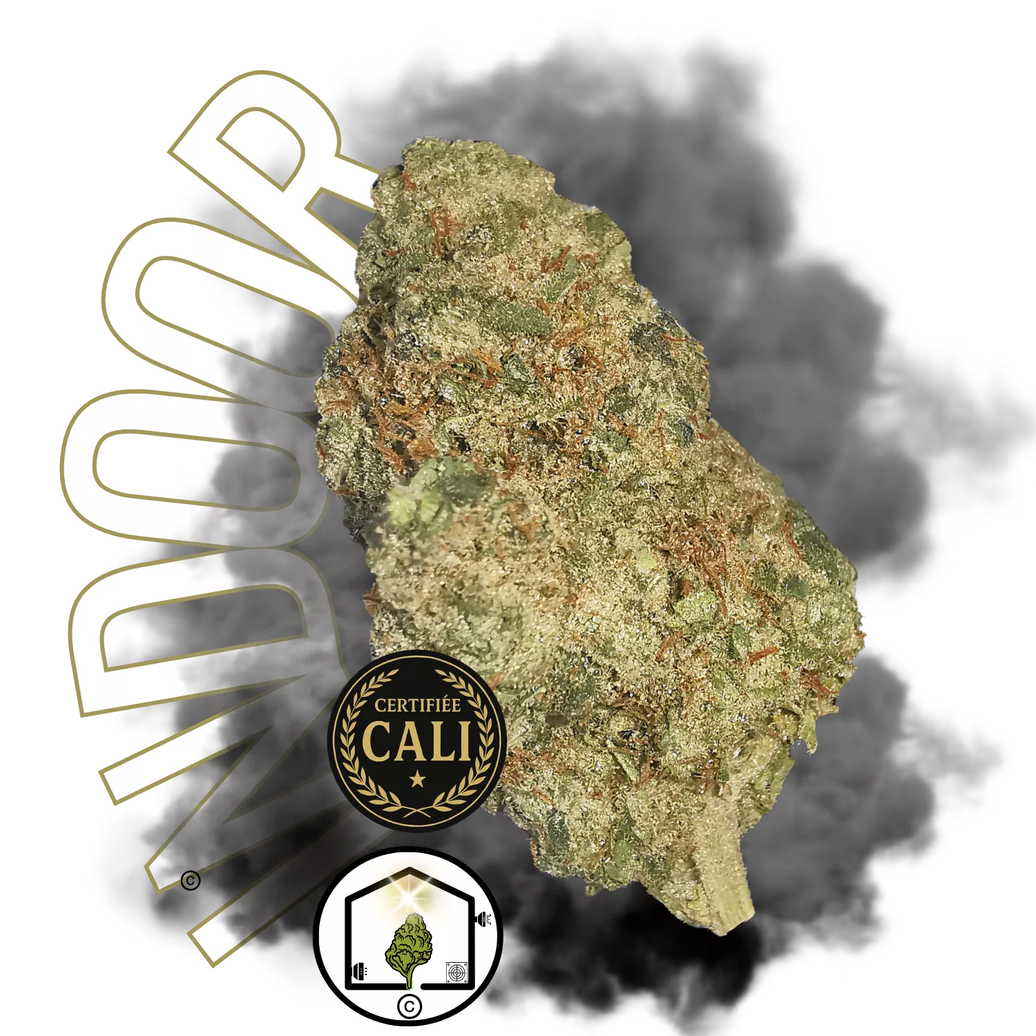 CALI PUSSY OG BIG BUD