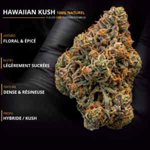 HAWAIIAN KUSH CBD