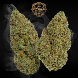 BLUE COOKIES ELITE+