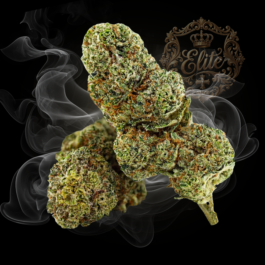 CALI SOUR Elite+