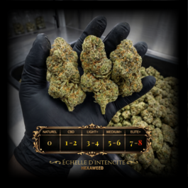 CALI SOUR Elite+