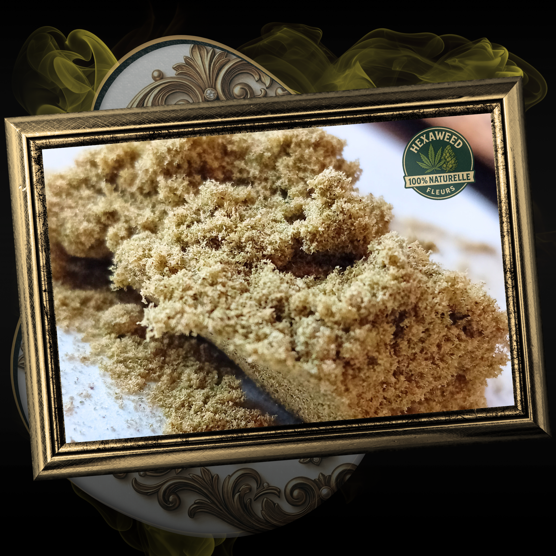 GOLD KIEF Elite+