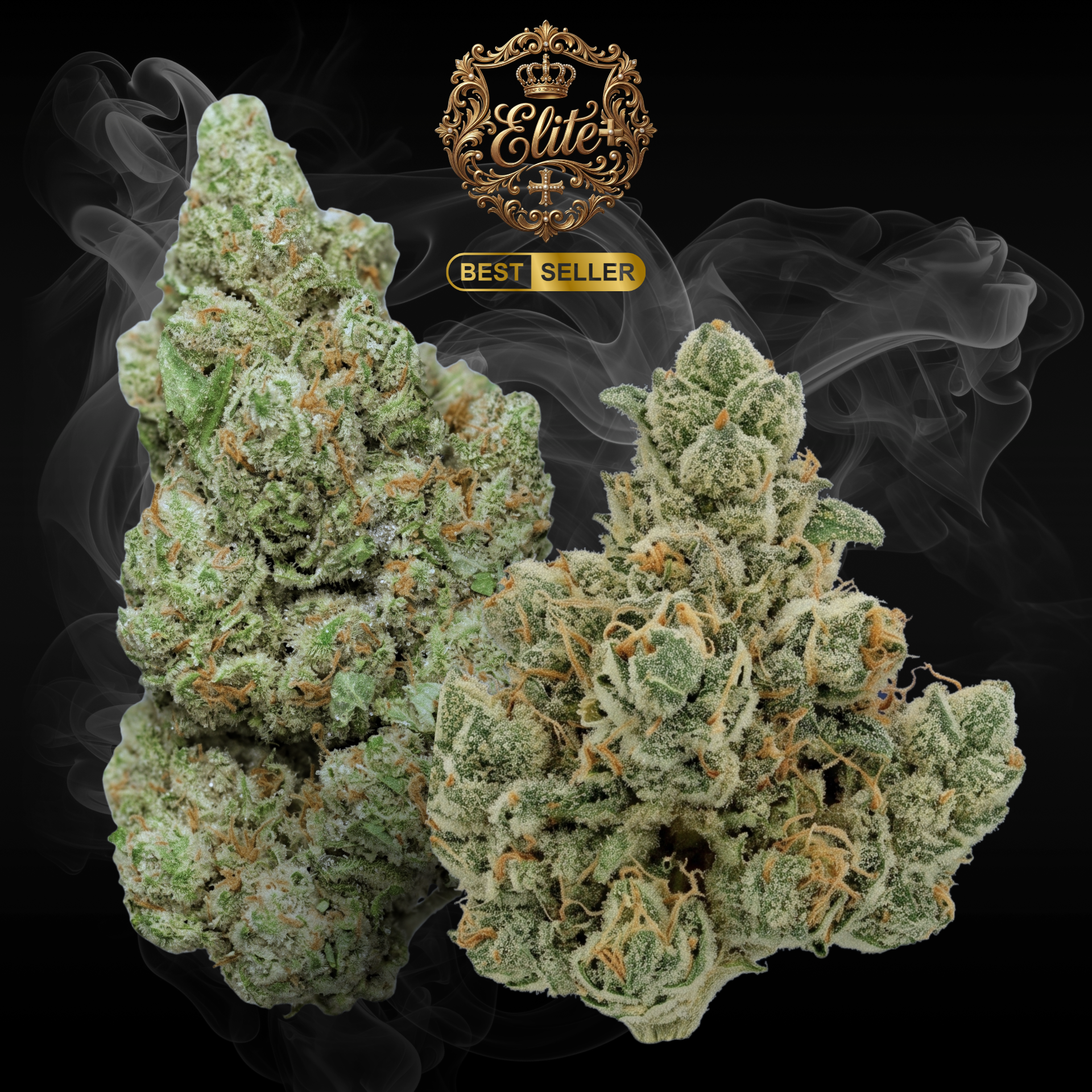 PLATINIUM HAZE Elite+