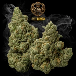 PLATINIUM HAZE Elite+