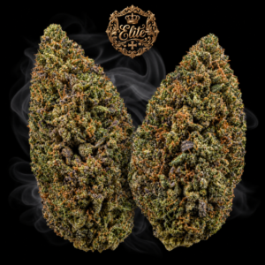 Illustration de BLUE COOKIES ELITE+ : deux fleurs aux tons olive et pourpre discret, pistils cuivrés et médaillon Elite+ sur fond noir.