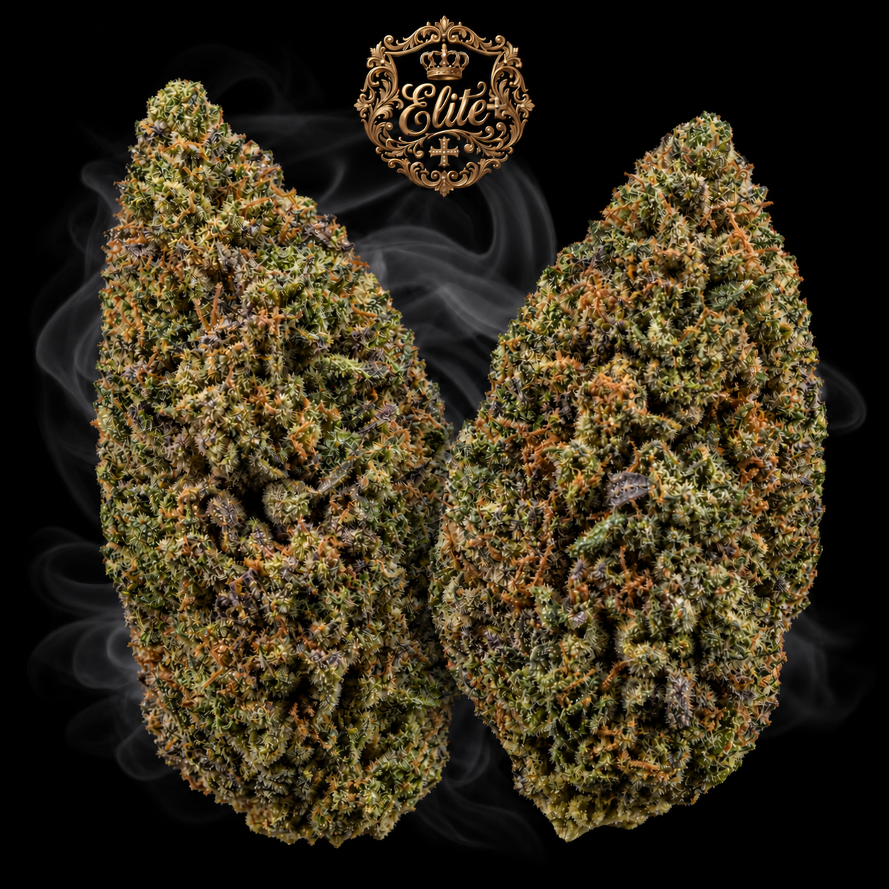 Illustration de BLUE COOKIES ELITE+ : deux fleurs aux tons olive et pourpre discret, pistils cuivrés et médaillon Elite+ sur fond noir.