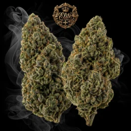 RAINBOW KUSH Elite+