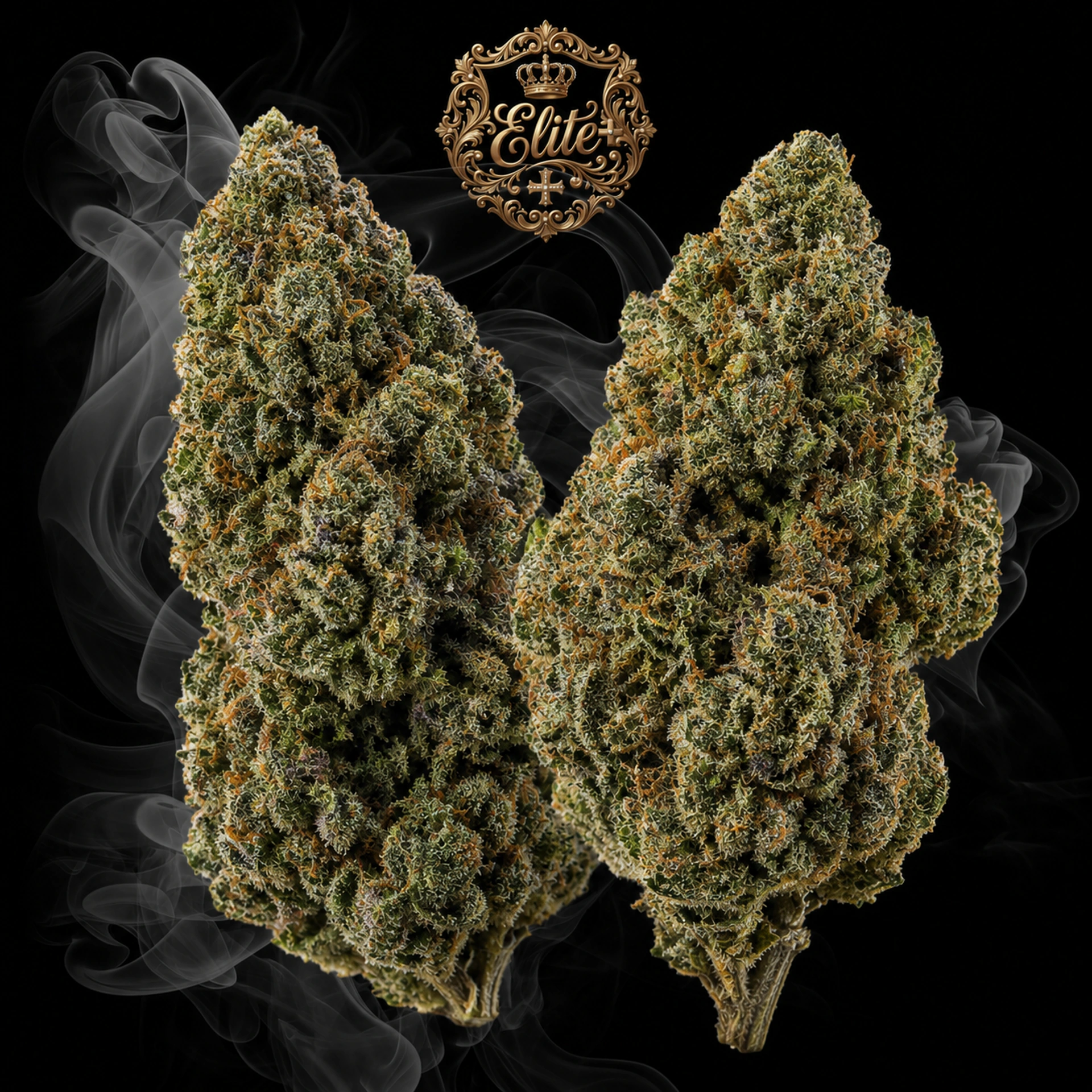 RAINBOW KUSH Elite+