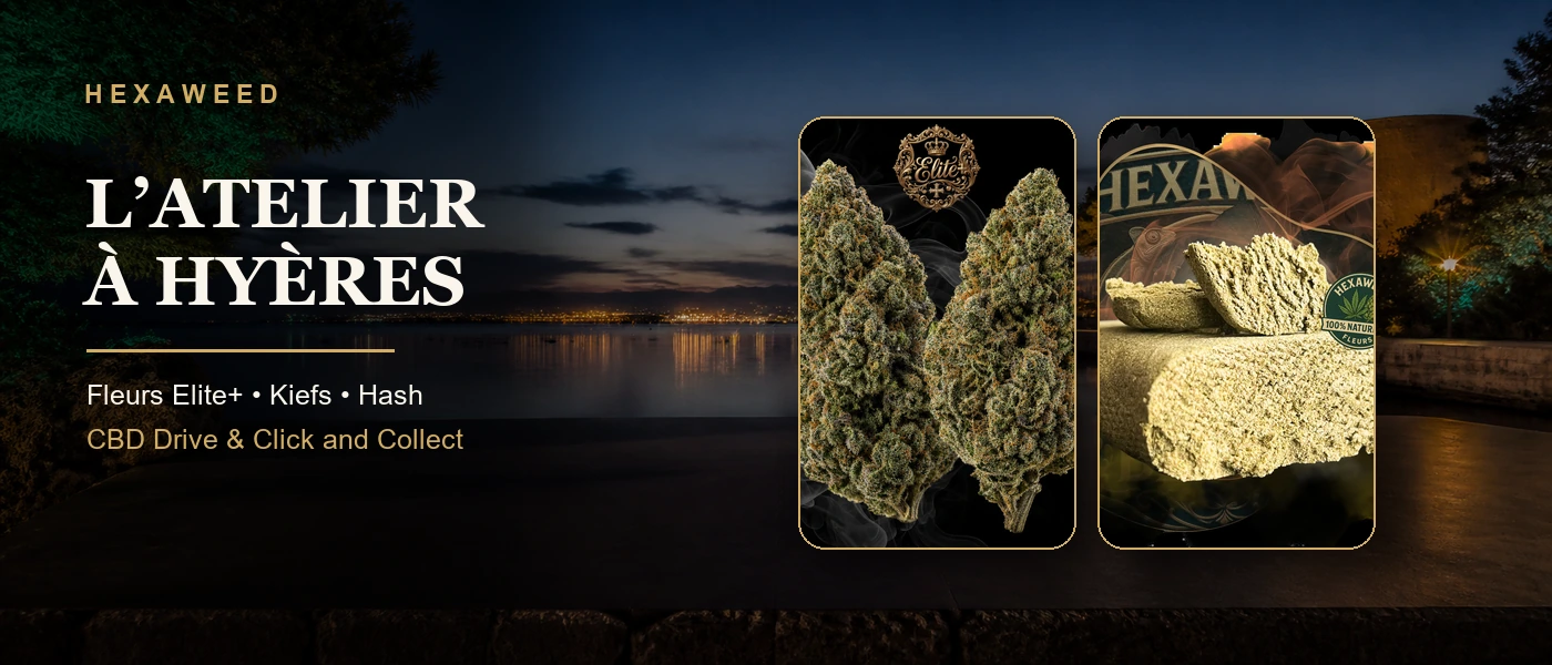 Atelier HEXAWEED, boutique CBD à Hyères avec fleurs Elite+ et Hash