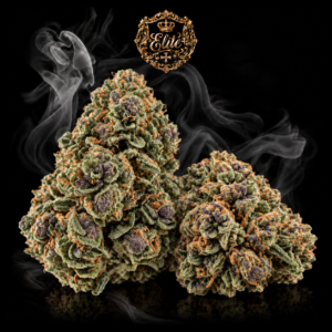 Illustration de PINK PANTHER ELITE+ : deux fleurs aux couleurs naturelles, médaillon doré Elite+ et fumée sur fond noir.